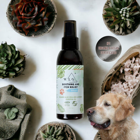 WLO® Soothing and Itch Relief Spray 4.2 oz - Organic Comfort for Your Pet | 50% Off + Gift Wooden Holder + Free Next Day Shipping for 5 Items all Organic Pet Care Products - WLO Wood
