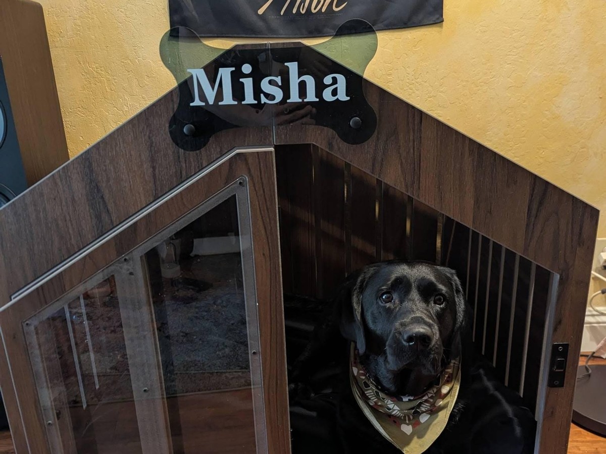Black Labrador lying at the open acrylic door of a walnut WLO Gabled Size 2
