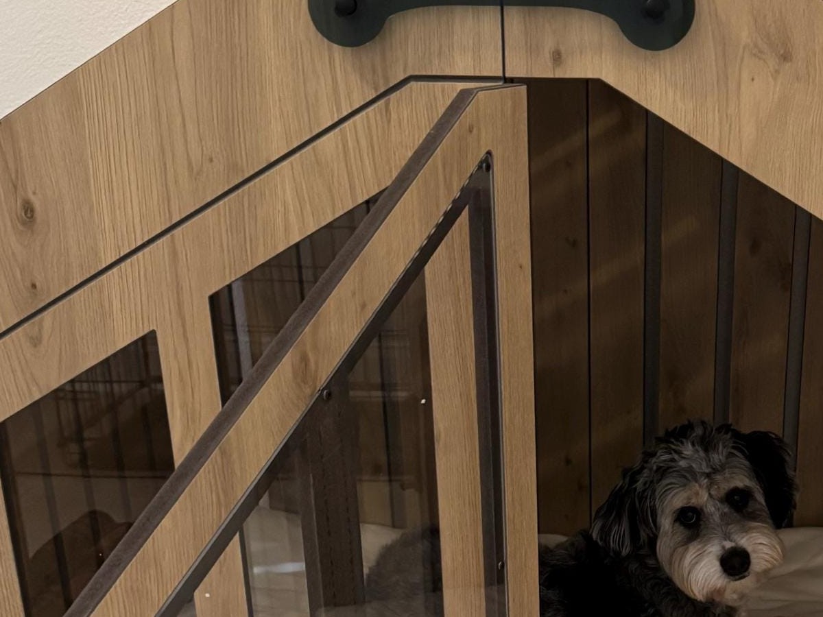 Open oak WLO door showing the panel edge and the clear acrylic window