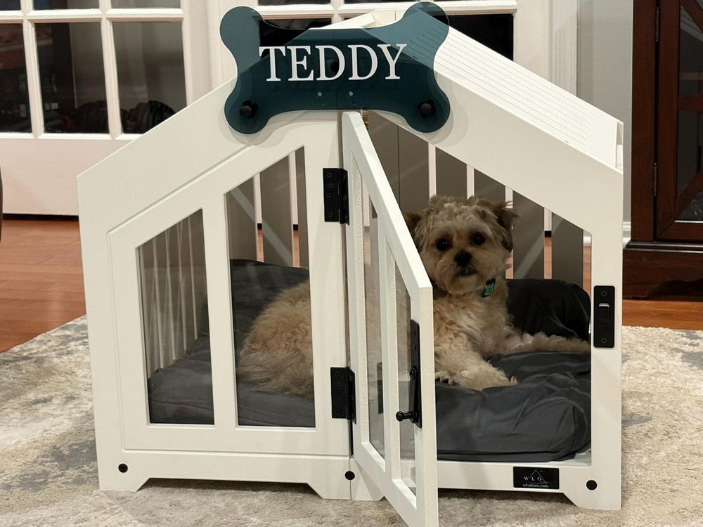 A customer’s Gabled dog house in Pure White, Size 1. Customer photo from a review, Nov 2025.