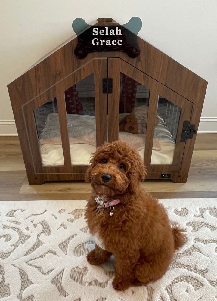 A customer’s Gabled dog house in Classic Walnut. Customer photo from a review, Mar 2026.