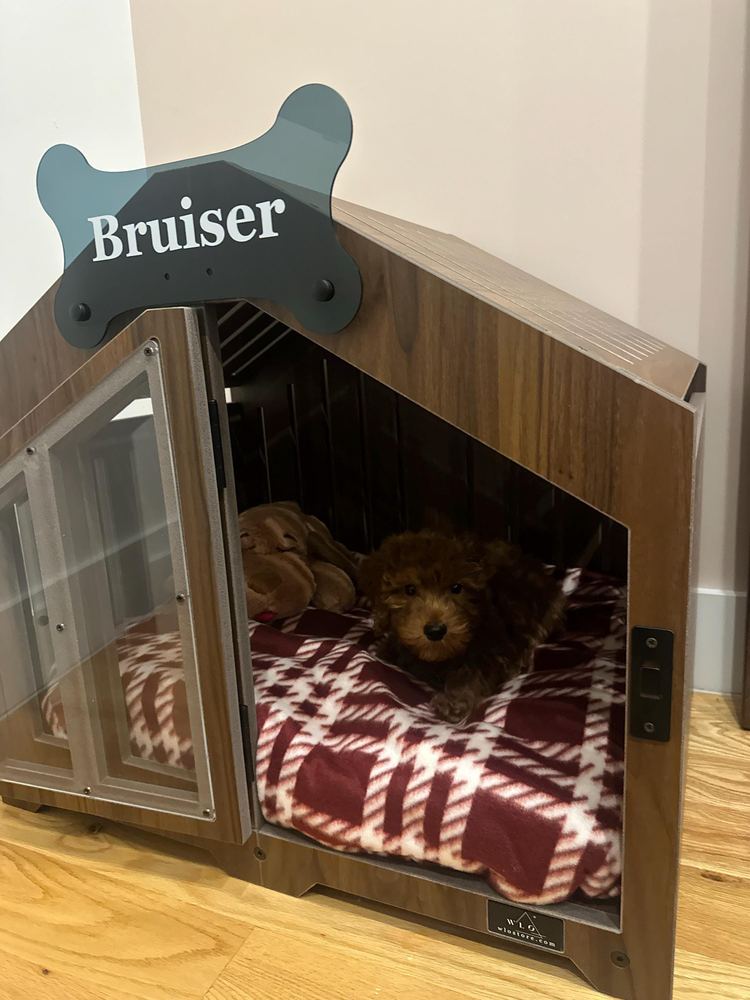 A customer’s Gabled dog house in Classic Walnut, Size 1. Customer photo from a review, Dec 2025.
