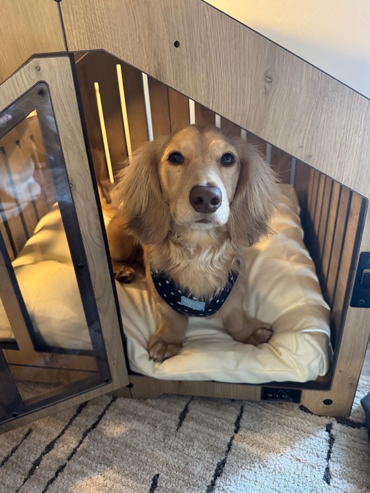 A customer’s Gabled dog house in Natural Oak, Size 1. Customer photo from a review, Jul 2026.