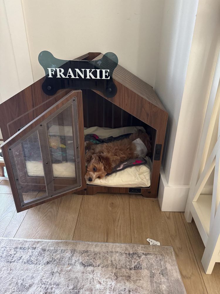A customer’s Gabled dog house in Classic Walnut, Size 1. Customer photo from a review, Jan 2026.