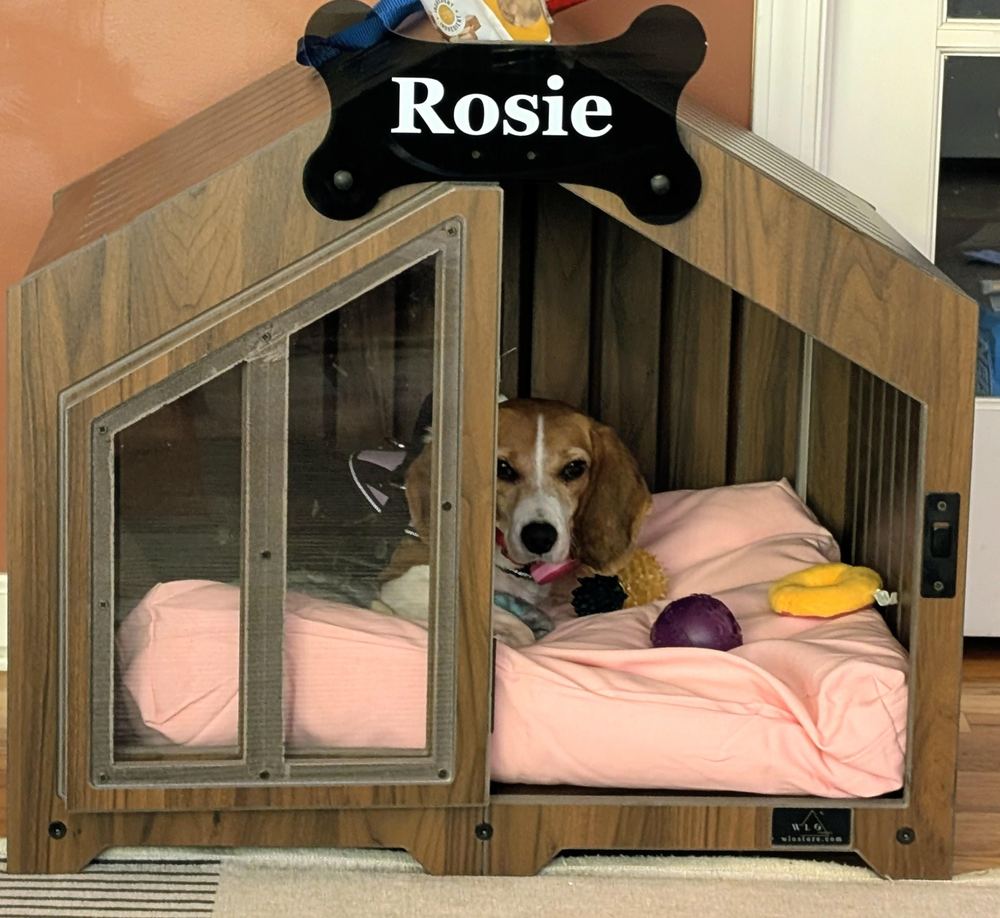 A customer’s Gabled dog house in Classic Walnut, Size 1. Customer photo from a review, Feb 2026.