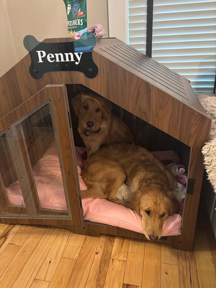 A customer’s Gabled dog house in Classic Walnut, Size 3. Customer photo from a review, Dec 2025.