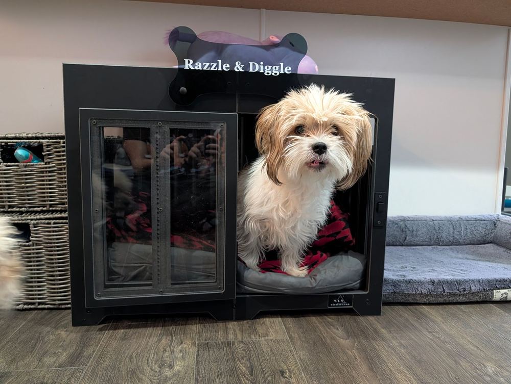 A customer’s Pueblo dog house in Onyx Black. Customer photo from a review, Feb 2026.