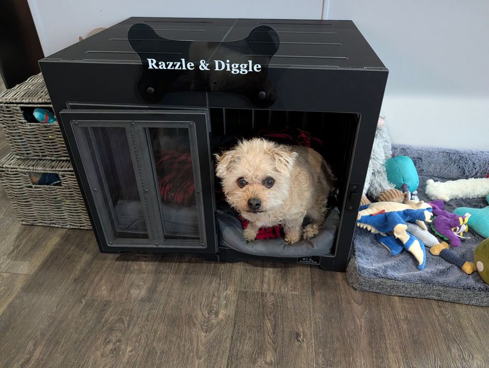 A customer’s Pueblo dog house in Onyx Black. Customer photo from a review, Feb 2026.