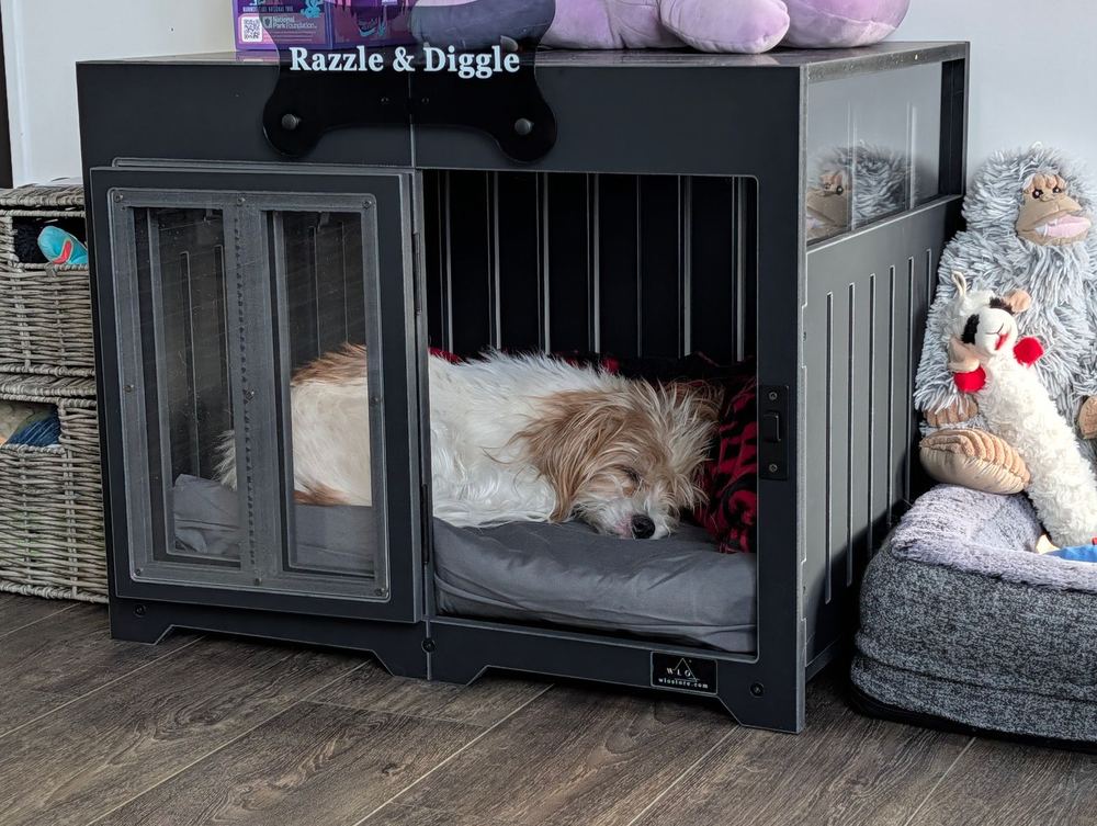 A customer’s Pueblo dog house in Onyx Black. Customer photo from a review, Feb 2026.