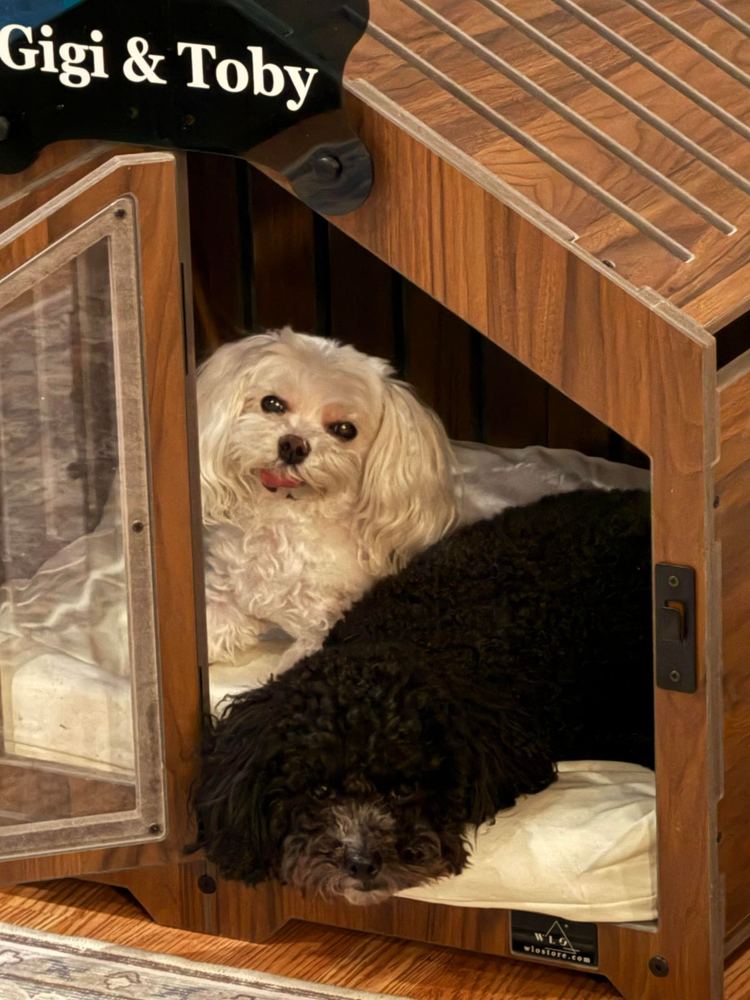 A customer’s Gabled dog house in Classic Walnut. Customer photo from a review, Jan 2026.