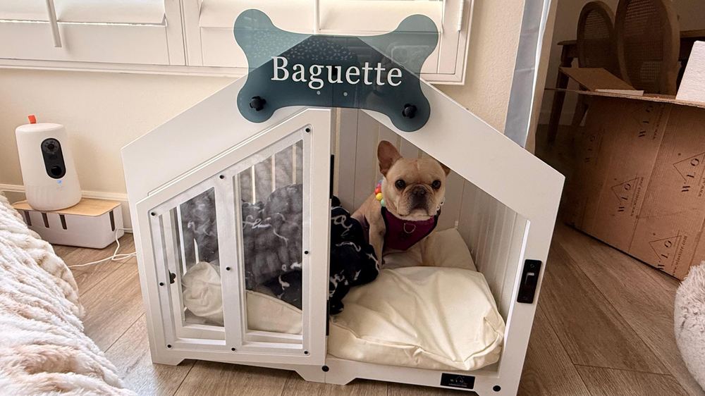 A customer’s Gabled dog house in Pure White, Size 1. Customer photo from a review, Sep 2025.
