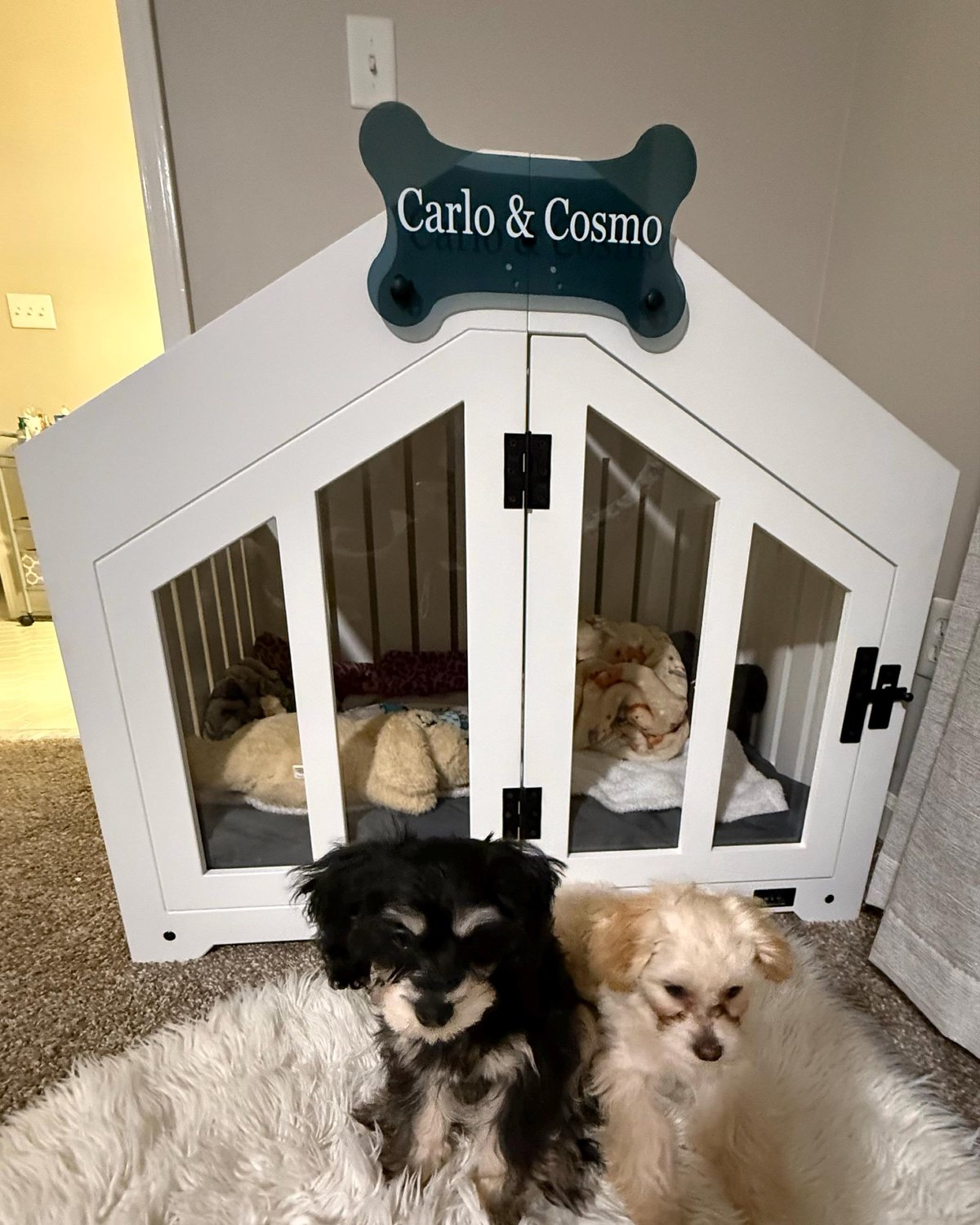 Carlo & Cosmo, a dog in a Gabled dog house in Pure White, Size 2. Customer photo from a review, Nov 2025.