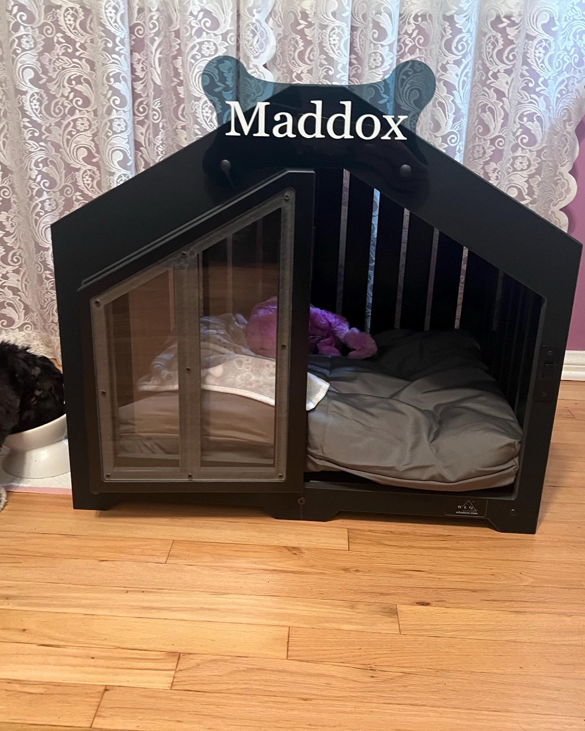 Maddox, a dog in a Gabled dog house in Onyx Black, Size 1. Customer photo from a review, Nov 2025.