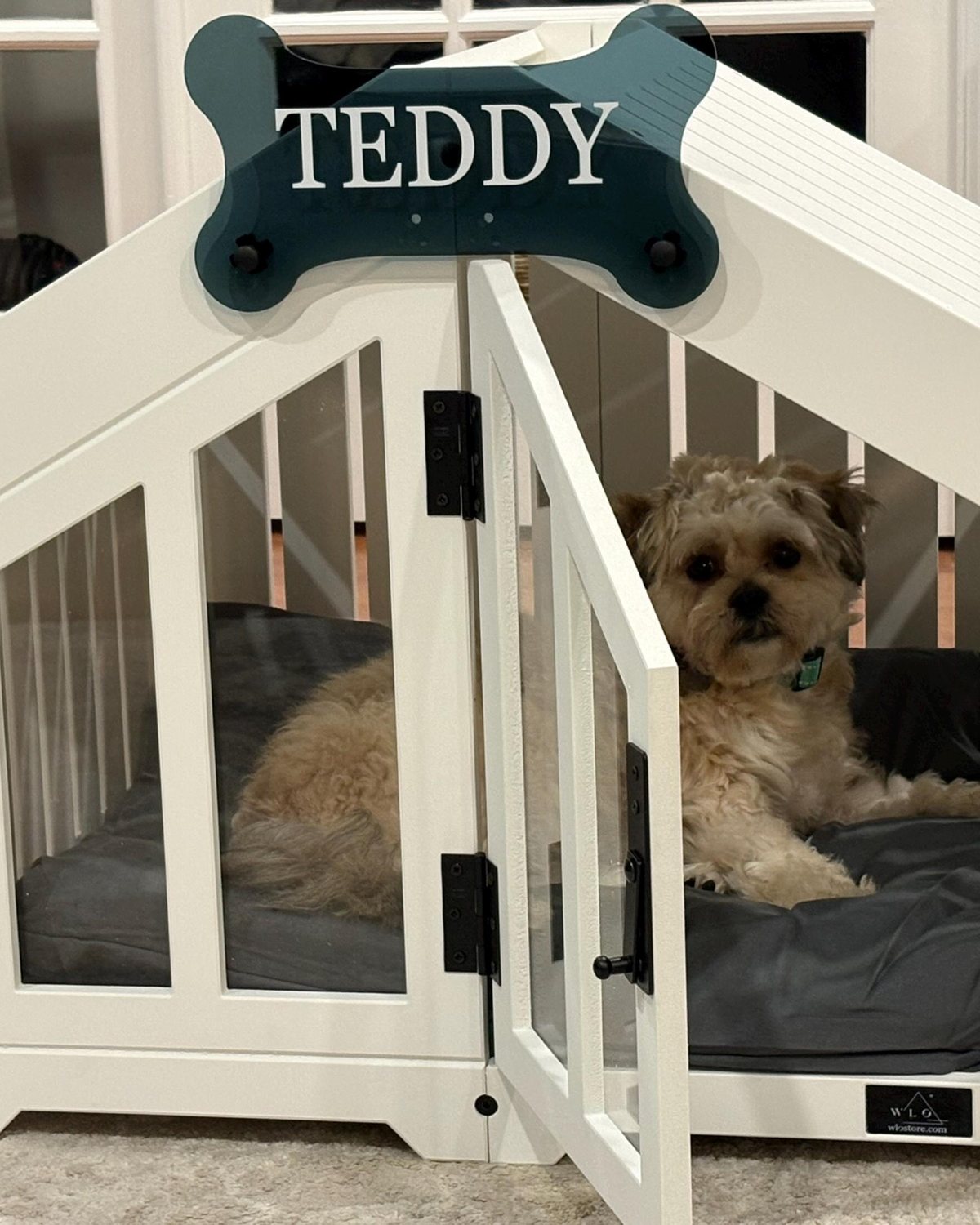 Teddy, a dog in a Gabled dog house in Pure White. Customer photo from a review, Nov 2025.