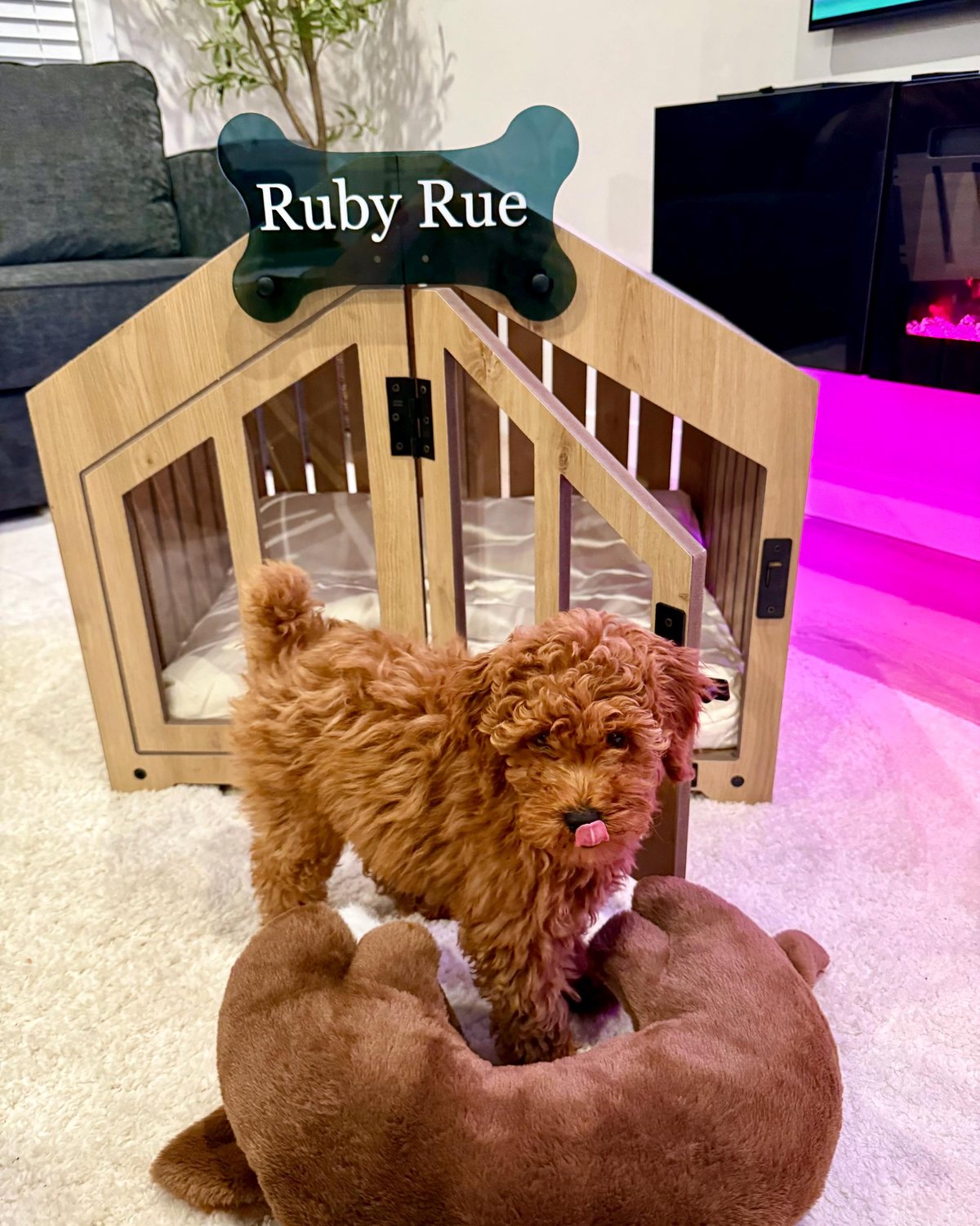 Ruby Rue, a dog in a Gabled dog house in Natural Oak, Size 1. Customer photo from a review, Oct 2025.