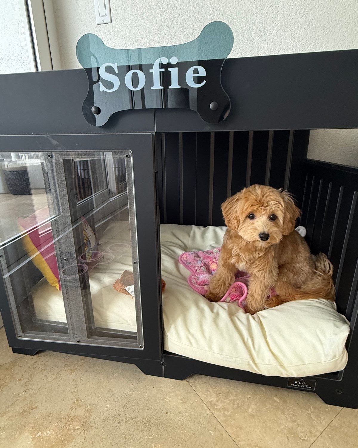 Sofie, a dog in a Pueblo dog house in Onyx Black. Customer photo from a review, Apr 2026.