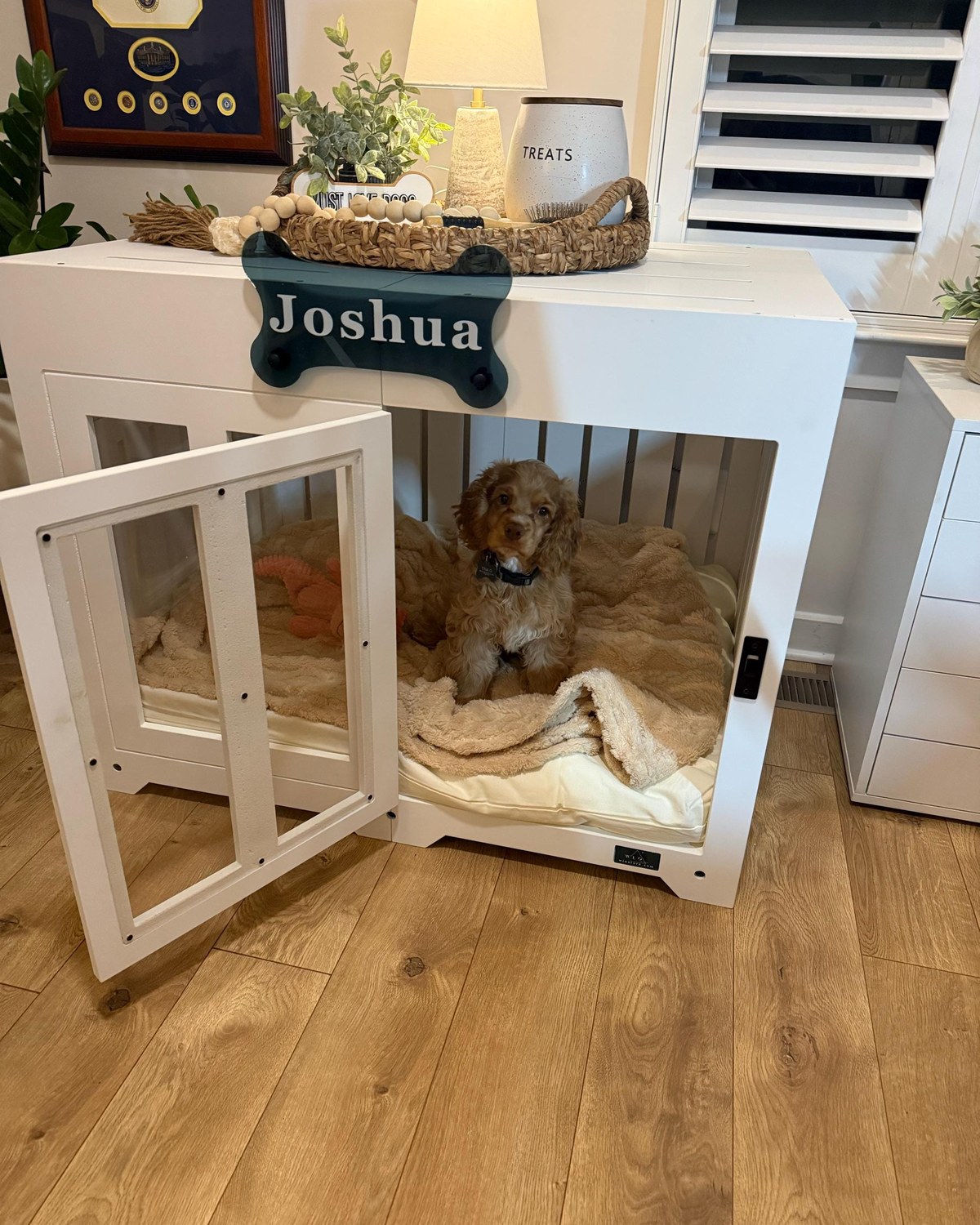 Joshua, a dog in a Pueblo dog house in Pure White, Size 2. Customer photo from a review, Mar 2026.