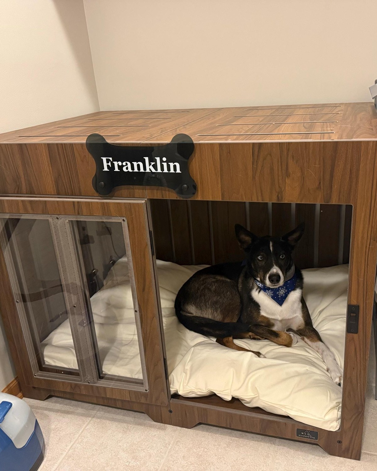 Franklin, a dog in a Pueblo dog house in Classic Walnut. Customer photo from a review, Feb 2026.