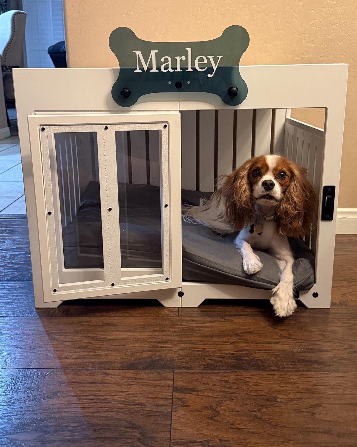 Marley, a dog in a Pueblo dog house in Pure White. Customer photo from a review, Sep 2025.