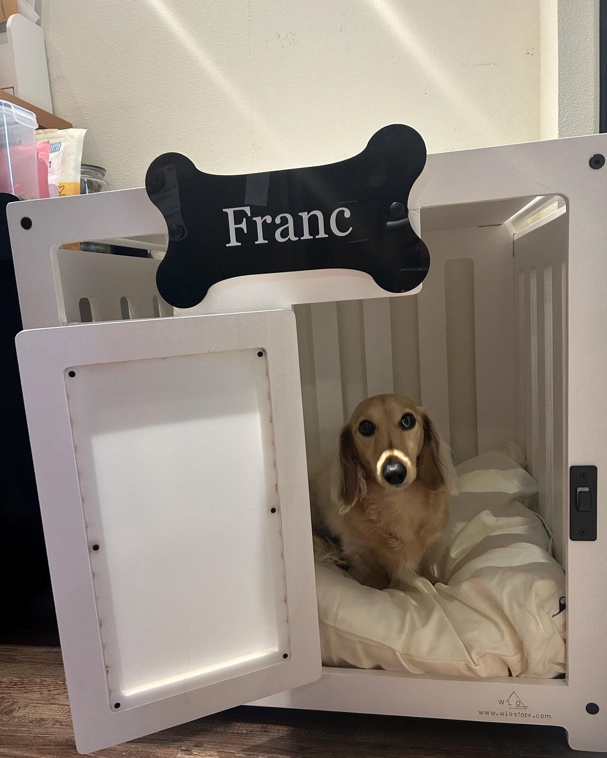 Franc, a dog in a Pueblo dog house in Pure White, Size 1. Customer photo from a review, Aug 2025.