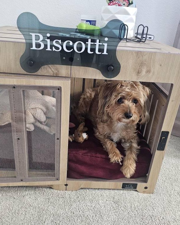 Biscotti, a dog in a Pueblo dog house in Natural Oak. Customer photo from a review, Oct 2025.